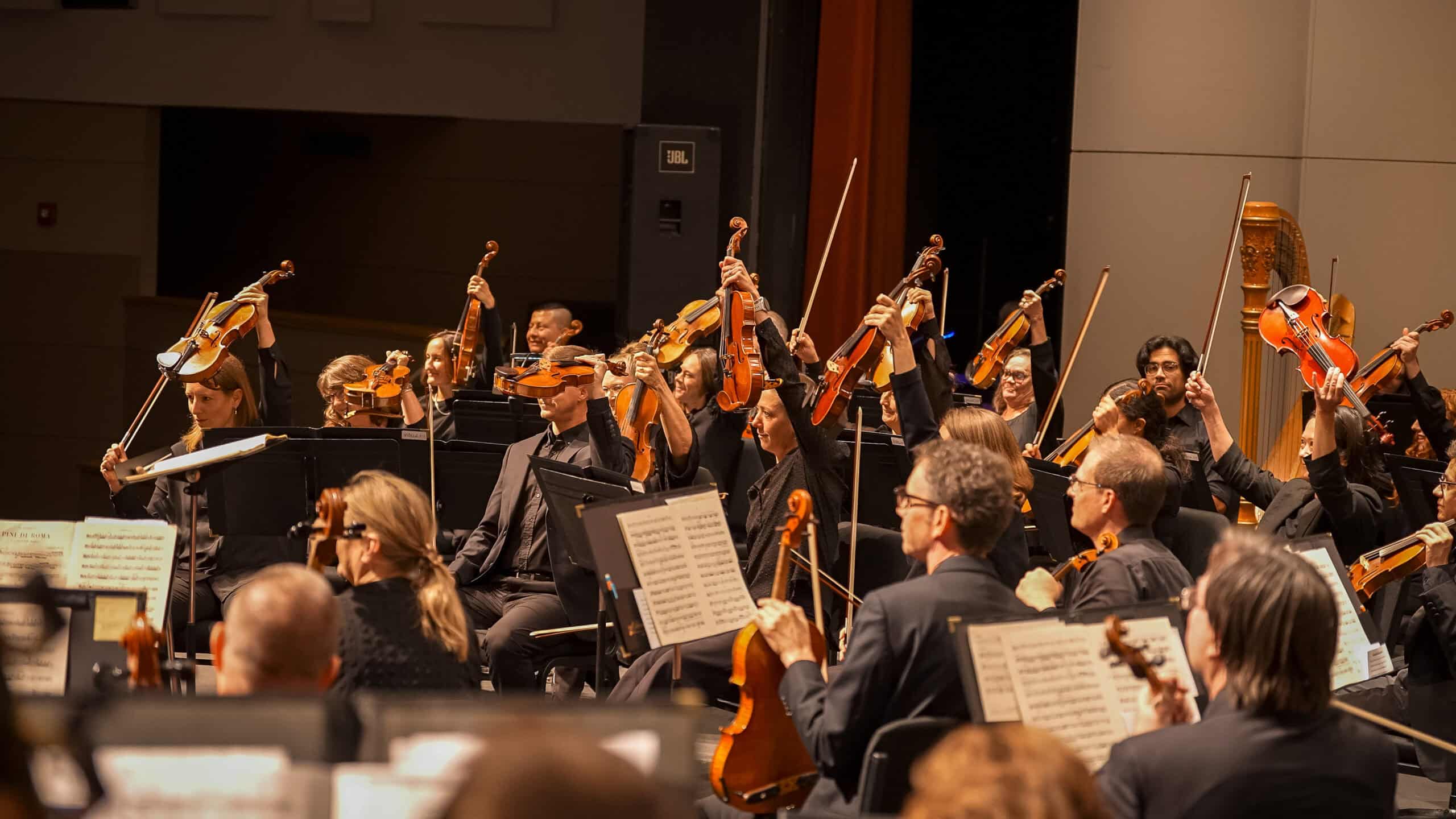 Orchestra of string musicians on stage raising bows mid-performance.